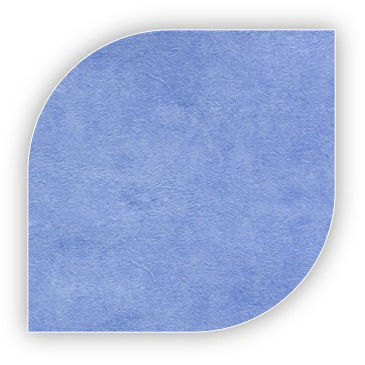 onyx_hawaii_icon.jpg
